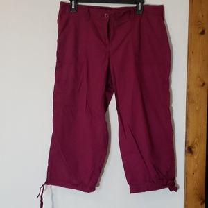 Ann Taylor Loft Brand Original Crop Capris size 8
